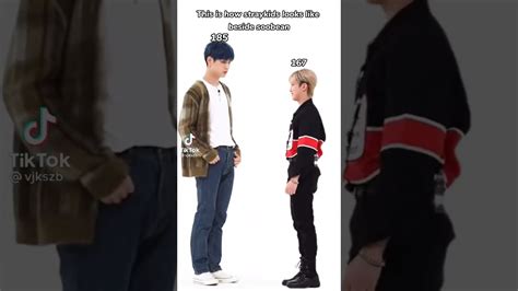 skz members height|Stray Kids